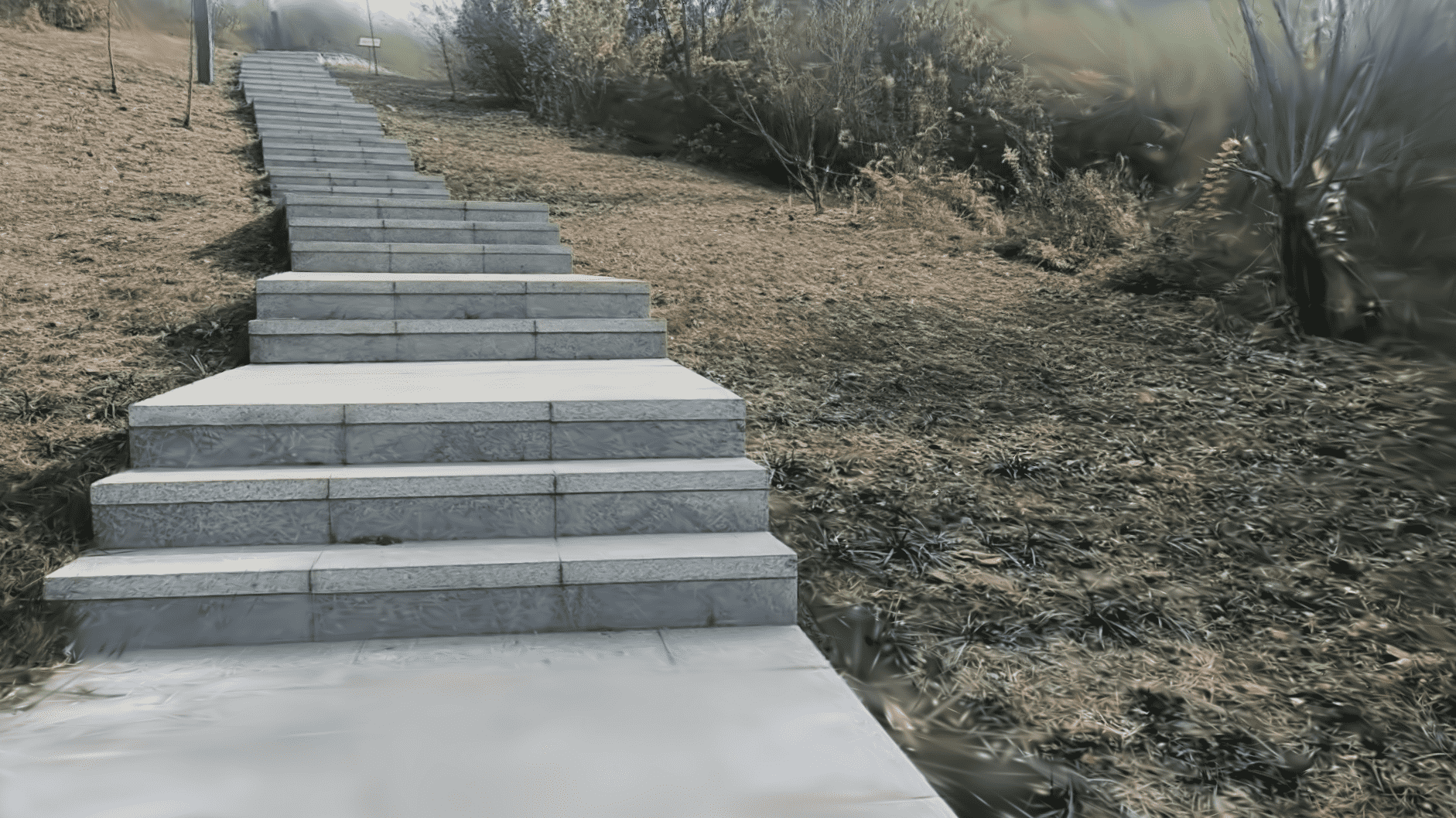 Scene 3 Render
